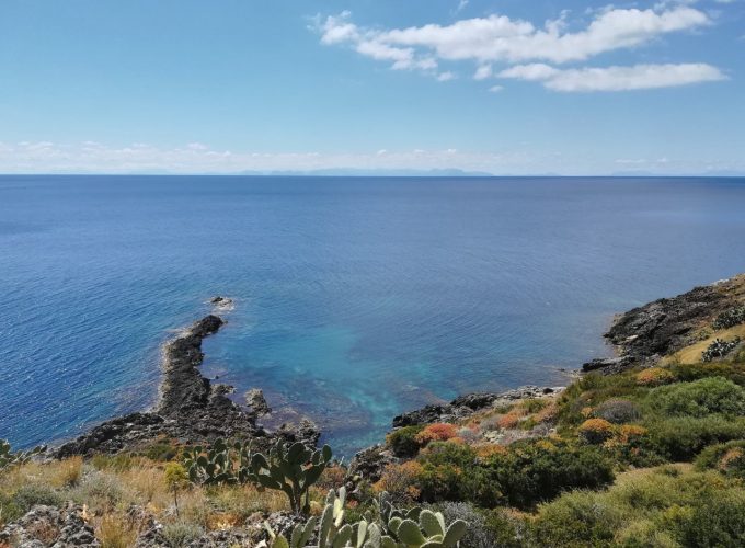 Tour Operator